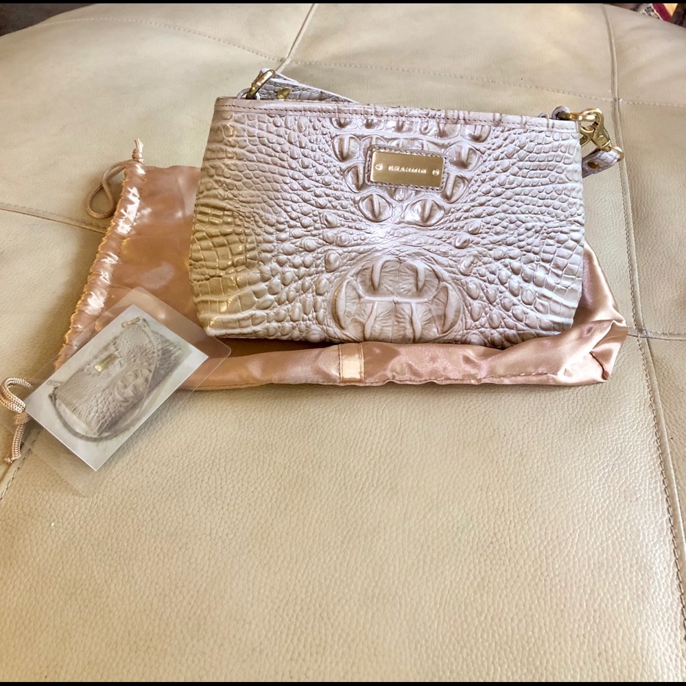 Mini Brahmin 🥂 - Picture 2 of 6